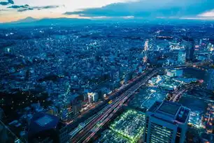 探索上海社区云，构建未来智慧城市的新蓝图，上海 社区云