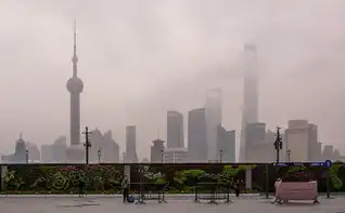 上海企业的数字化转型之路，上海企业网站设计