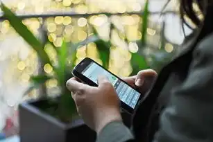 北京关键词优化的价格，揭秘合理费用与价值所在，关键词优化收费