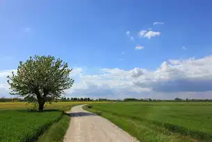深入探讨桌面虚拟化在现代企业中的应用与优势，桌面虚拟化的作用包括以下哪些