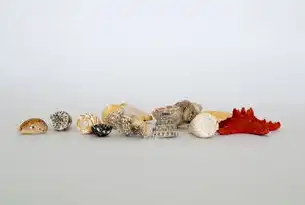 智能影像采集软件，一站式解决方案助力高效工作，影像采集软件桌面服务下载安装