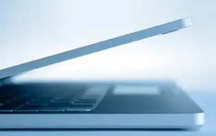 虚拟服务器的英文名称，Virtual Server，虚拟服务器 英文名怎么写