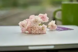 打造个性化在线花店，探索鲜花网站源码开发之道，鲜花网站代码