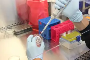 管道流量和压力测试装置，投资与效益分析，管道流量测试仪器