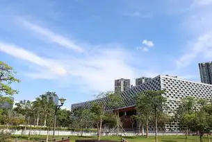 深圳专业网站建设公司，打造您的网络品牌，深圳制作网站制作公司