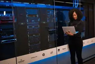 租用服务器后如何高效建站，从选择到部署的全流程指南，租用的服务器怎么用