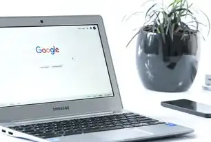 火星软件，引领SEO新时代，助力企业腾飞，火星软件app
