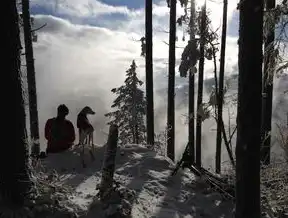 控制版面如何设置到桌面显示，全面指南与技巧，控制版面怎么设置到桌面显示文字