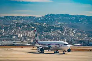 2023年上半年中国机场旅客吞吐量排名，洞察航空业发展趋势与区域差异，全国机场2020年客流量