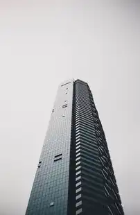 精细化SEO域名解析，揭秘网站优化与排名提升策略，seo 域名