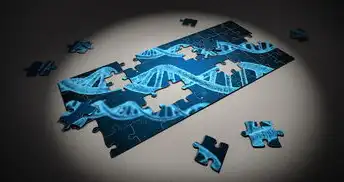 企业灾难恢复计划，构建企业安全防线，保障业务连续性，公司的灾难恢复计划英文缩写