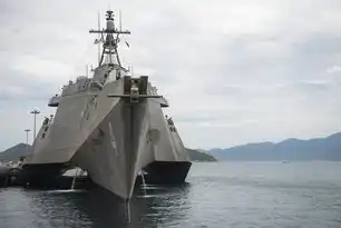 美国独立服务器的优势与选择指南，美国独立服务器怎么买