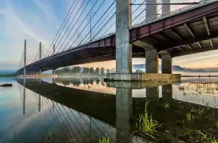 2021年9月中国港口集装箱吞吐量分析报告，2019全国港口集装箱吞吐量