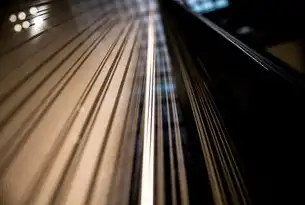数字资产信用分，网站权重构建的智能运营体系与价值转化路径，网站权重怎么提高