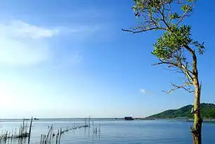 数据湖，现代数据分析的核心枢纽，什么是数据湖?它与数据仓库有什么区别?