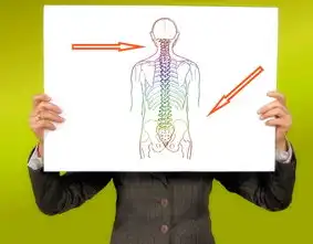 SEO健康检查，全面优化网站性能与用户体验，seo网站检测工具