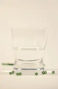 美国服务器，助力企业全球化与数据安全的新选择，美国服务器有什么用