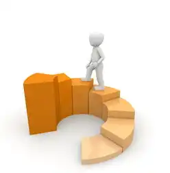 SEO优化，揭秘程序化与人工化的较量，seo有用吗?