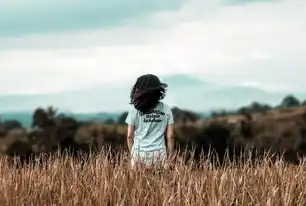 如何高效地选择适合自己的关键词，怎么选择关键词和人群