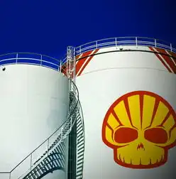 张家口市，污泥处理新篇章—从污染源到绿色能源的转变，张家口市政污泥无害化资源化处置方案