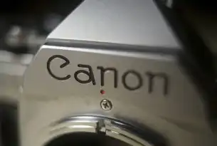 响应时间ms，揭秘网络延迟背后的秘密，响应时间单位m.s怎么读