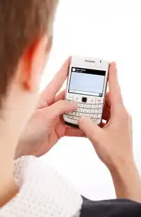 短信测试压力在线下载，全面解析与实战指南，短信压力测试app