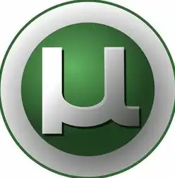 瑞友天翼应用虚拟化客户端，开启高效办公新篇章，瑞友天翼应用虚拟化客户端下载