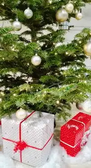 视频网站模板源码，构建个性化在线娱乐平台，视频网站模板源码下载