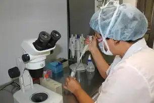 考试压力调节指南，轻松应对考试季，缓解考试压力视频