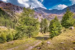 探索自然之美，打造完美旅游景区网站的秘诀，旅游景区网站源码是什么