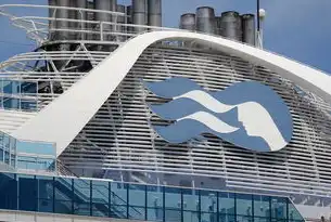 有限公司的奥秘与挑战，揭秘企业运营之道，关键词 公司