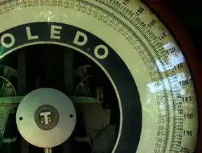 SEO专业优化平台在火12星，揭秘如何让你的网站在搜索引擎中脱颖而出！seo专业优化方法
