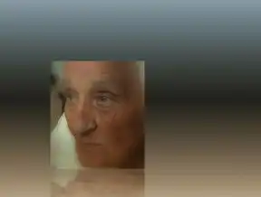 如何有效解决电脑桌面频繁弹出的税务服务平台问题，电子税务局弹窗无法关闭
