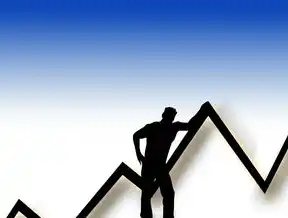 合肥SEO服务公司，助力企业提升网络营销效果，合肥seo服务公司排名