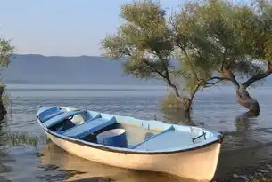摄影旅游网站源码，探索世界的镜头视角，摄影旅游网站源码查询