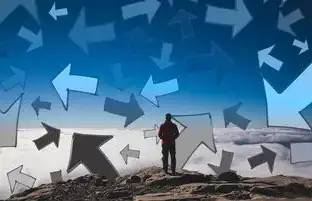 云管理平台的前景，开启数字化转型的钥匙，云管理平台前景怎么样