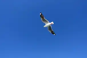 混合云，科技与自然的和谐共生，混合云是指