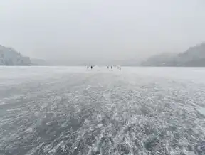 数据湖，现代数据分析与存储的革命性平台，数据湖概念