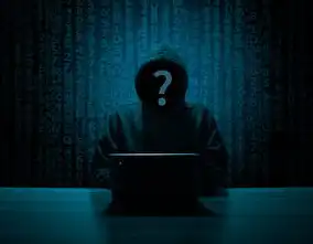 揭秘，黑客如何利用非法SEO手段进行网络攻击，黑客非法入侵哪个部门报案