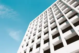 社区公共基础设施，政府与集体合力共建美好家园，社区公共基础设施建设管理