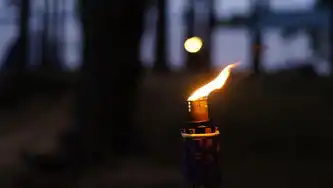 织梦服务器，分布式架构下的智能计算中枢与产业赋能实践，织梦网站哪里放客服代码