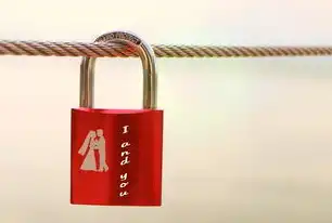 智能科技，20米自动伸缩钢丝绳子的革命性突破，20米自动伸缩钢丝绳子怎么安装