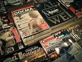The Evolution of News Consumption:From Print to Digital Platforms，英文新闻网站源码大全