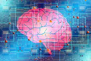 上海SEO外包费用深度拆解，2023行业成本体系与服务价值评估指南，seo外包服务平台