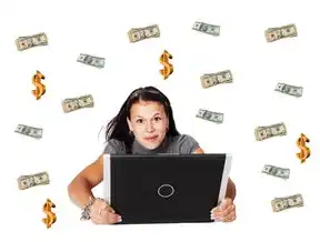 SEO赚钱，揭秘如何通过搜索引擎优化实现盈利，seo怎么赚钱