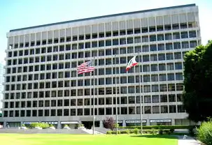 德州专业网站建设公司，打造您的数字名片，德州网站建设公司排名