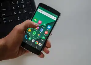 APP数据的魅力与价值，解锁商业成功的新钥匙，app数据是什么