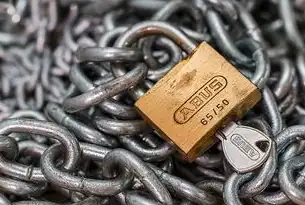 揭秘，深度解析百度竞价网站源码，百度竞价网站源码是什么