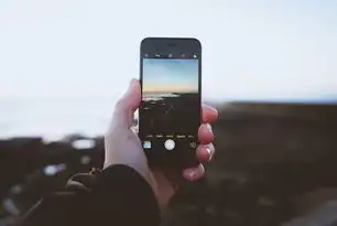 资阳关键词快速排名，揭秘SEO技巧与策略，关注资阳