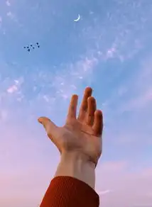 不仅仅是关键词，探索SEO优化策略的新境界，不仅仅而且是关键词吗为什么